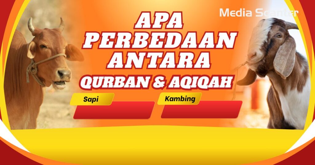 Apa Perbedaan Antara Kurban dan Aqiqah